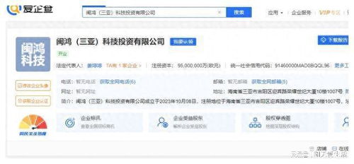 海南三亞出現(xiàn)4家空前巨額投資公司,注冊(cè)資本都是9500億歐元